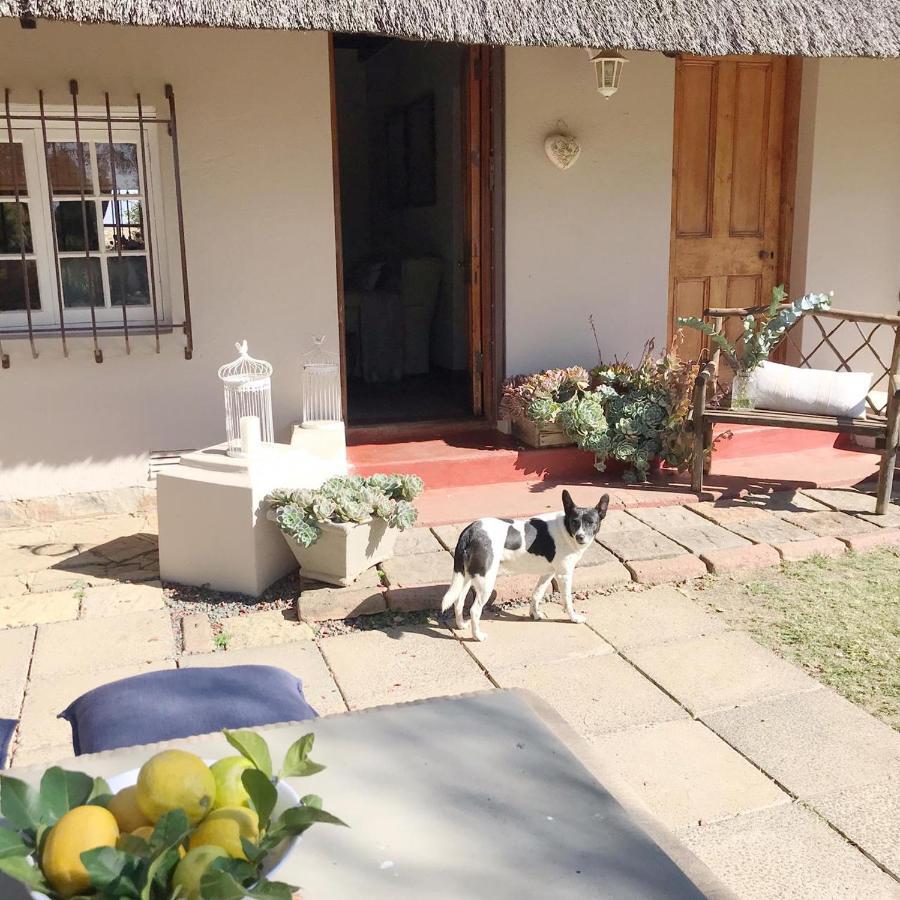 Erin Guesthouse And B&B Bergville Extérieur photo